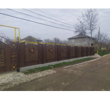 Забор 2015