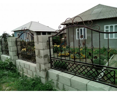 Забор 2056